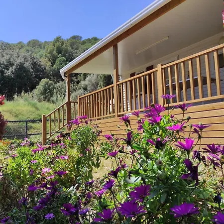 Roca Grossa Camping