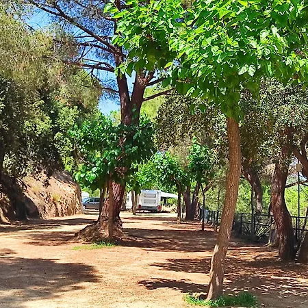 Kamp alanı Roca Grossa