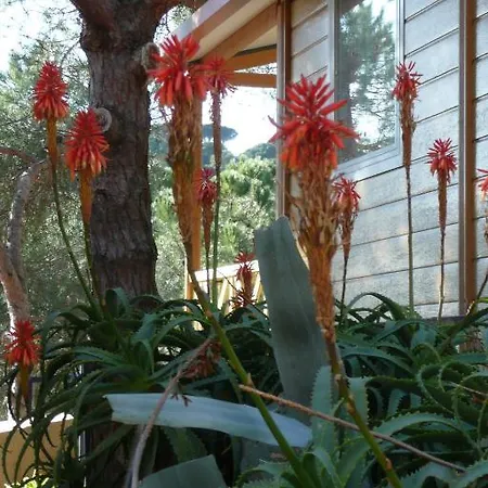 Roca Grossa Camping