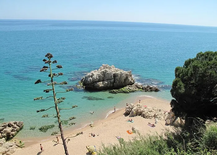 Roca Grossa אתר קמפינג 2*